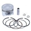 Piston, Rings &Amp; Needle Spare Parts for 4 Stroke Brush cutter Insight Agrotech