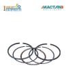 Piston Ring Spare Parts for 4 Stroke Brush cutter Insight Agrotech